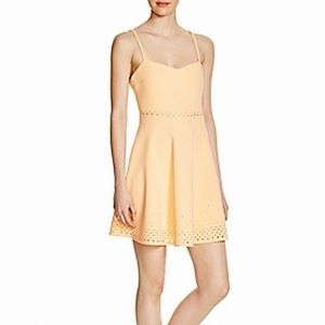 Likely Laser Cut Fit & Flare Dress | Orange | Size 8